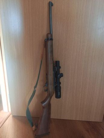 Buenas, cambio ruger saut calibre 44 por rifle de cerrojo de pequeño calibre ,243, 6,5, o cetme, escucho 00