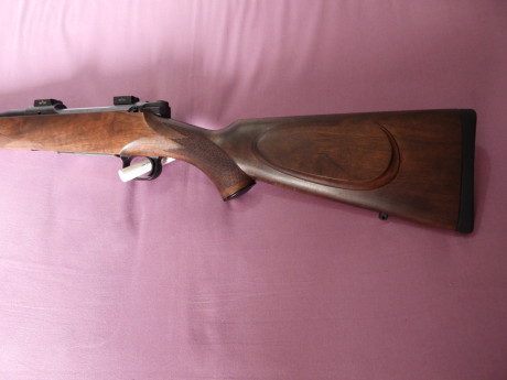 VENDIDO 12