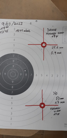 Hola amigos, estoy leyendo mucho pero por separado de nuestras queridas CZ | Brno del .22LR. Se podría 101