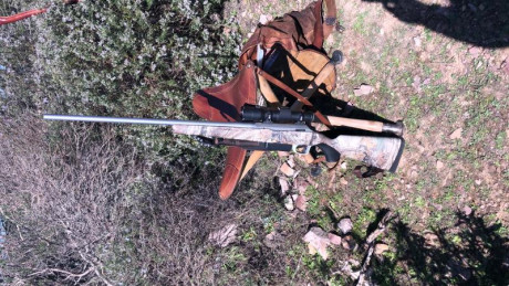 Me gustaría que alguien que  tenga el aimpoint h30l me dijera  su experiencia  con el.
Gracias 31
