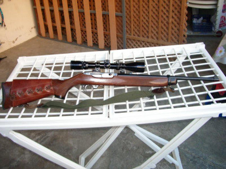 ¿Nos animamos a mostrar blancos de nuestros rifles de caza habituales? Con la munición que habitualmente 21