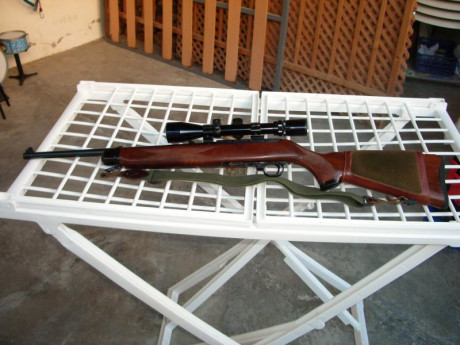 ¿Nos animamos a mostrar blancos de nuestros rifles de caza habituales? Con la munición que habitualmente 20