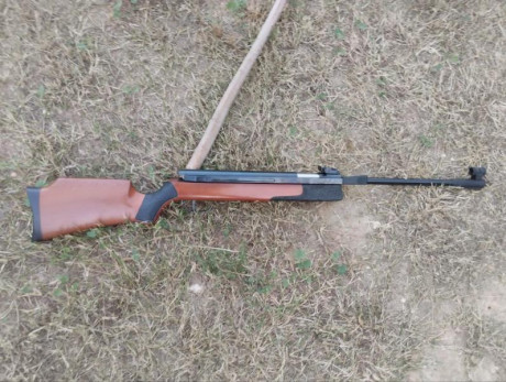 Se vende Gamo olimpic  funcionando perfectamente, revisada por profesional, + juego de juntas de recambio.
450€ 01