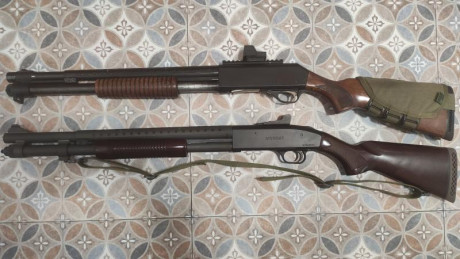 Se vende Fabarm mod. SDASS. Calibre 12-76 recamara Magnum. Culata y corredera madera nogal. En perfecto 60