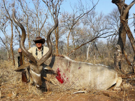 Un buen amigo acaba de cazar , ayer un venado enorme en Zamora .
Me dice que con el 30.06 no lo mata , 10