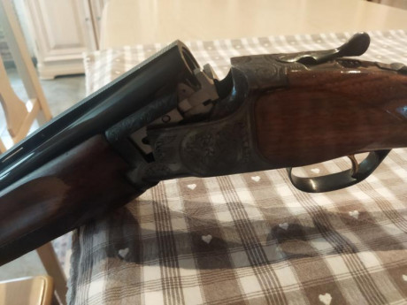 Cerrar 22