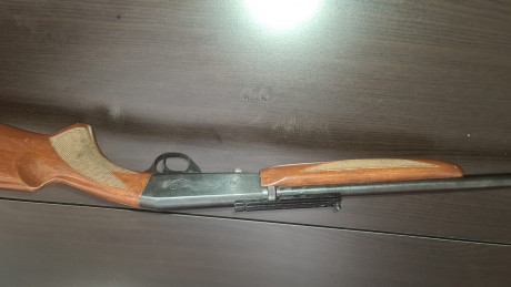 CARGADOR POR LA CULATA DE 9 CARTUCHO. CALIBRE 22 LR. CAÑON ROSCADO CON CUBREROSCA.RIEL PARA COLOCAR VISOR.ESTA 00