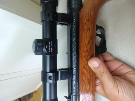 RETIRADA SU VENTA 00