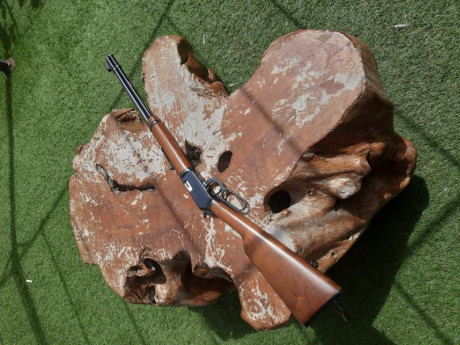 Buenas a todos,

Pongo a la venta esta preciosa carabina Winchester 9422 del calibre 22. Está fabricada 01