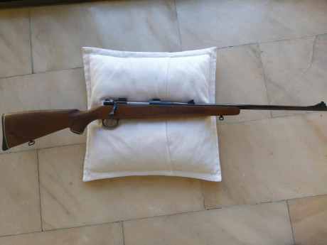 Vendido 02