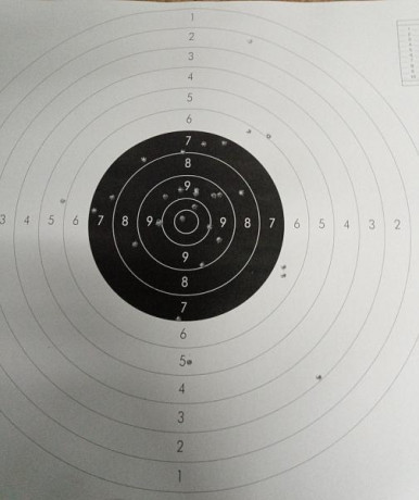 Buenas.

Pues que me ha dado por contar mis batallitas en los entrenamientos y tiradas de precisión, por 81