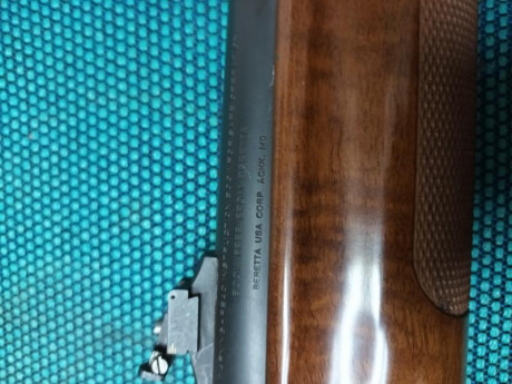 Tengo un cañón estriado marca Beretta que se adapta a la beretta y a la benelli 
Yo la llevo en una 121 01