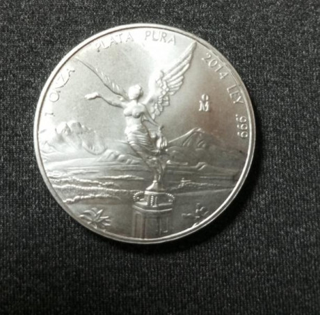 Vendo monedas de plata pura bullion, la única en español y del año 2014 que ya tienen valor numismático.
37 01