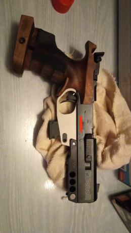 Buenas foro,

Estoy mirando armas de competición, y esta es la más baratita. No parece estar mal aunque 120