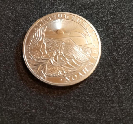 Vendo 20 monedas de plata pura bullion a 30 euros la onza del arca de Noé de 2019.

Preferiblemente entrega 10