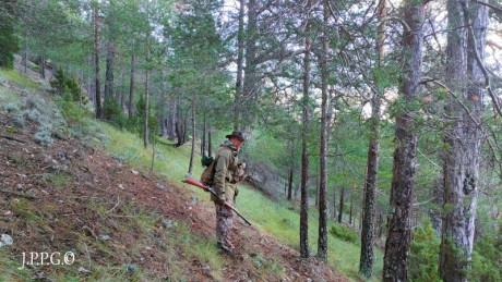  Amigos, viendo que hay interés general en la práctica de la caza con armas de avancarga, abrimos este 112