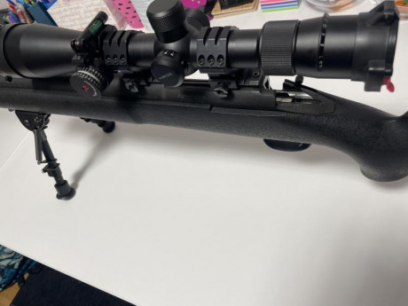 Hola, vendo mi remington 700 police en 308 w ya que fue un capricho caro que tengo oxidándose en el armero. 42