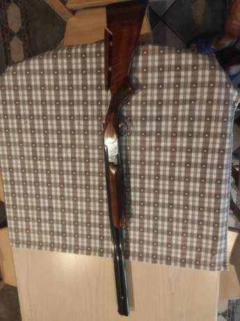 Cambio escopeta superpuesta miroku por rifle en calibre 7mm
O 3006 de mi agrado 81