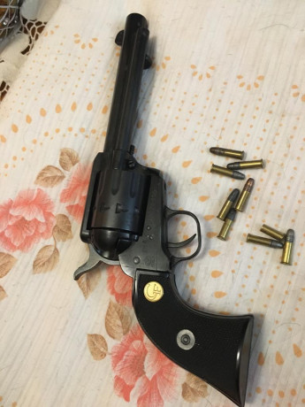 VENDIDO
Buenos días, un amigo me pide que le publique el presente anuncio:
 Se vende un revolver CHIAPPA, 01