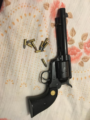 VENDIDO
Buenos días, un amigo me pide que le publique el presente anuncio:
 Se vende un revolver CHIAPPA, 00