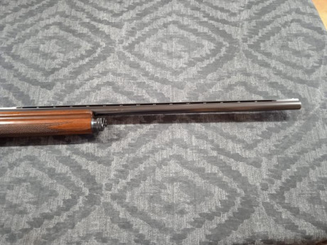 Un amigo vende collera de escopetas FN auto5

- una es calibre 20/70, báscula de acero, cañón de 71cm, 00