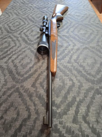 Un amigo vende la siguiente carabina

- Winchester modelo 490 made in Canadá, calibre 22, con visor de 00
