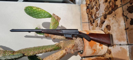 Buenas noches,

En una charla con un amigo, debatíamos, cuantos rifles semiautomáticos había de browning.

Según 32