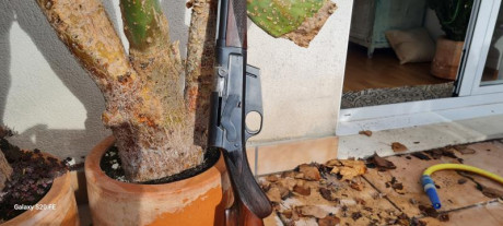 Buenas noches,

En una charla con un amigo, debatíamos, cuantos rifles semiautomáticos había de browning.

Según 31