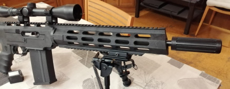 Vendo esta Ruger 10/22, tuneada:
-Kit chasis Archangel 556 ar15 style
-bocacha simulando silenciador
-cargador 02