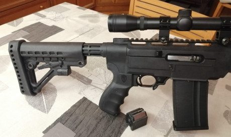 Vendo esta Ruger 10/22, tuneada:
-Kit chasis Archangel 556 ar15 style
-bocacha simulando silenciador
-cargador 11
