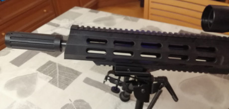 Vendo esta Ruger 10/22, tuneada:
-Kit chasis Archangel 556 ar15 style
-bocacha simulando silenciador
-cargador 10