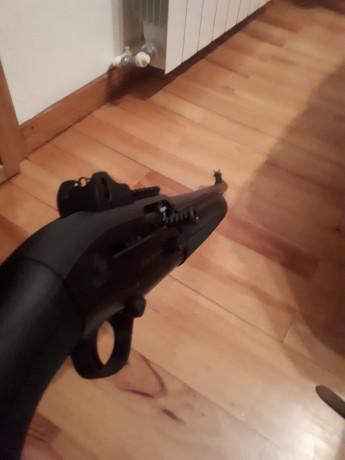 Vendo Beretta 1301 táctica. Ha tirado una caja. Se vende por no usar. Estado perfecto. Comprada por capricho.
Semiautomática, 01