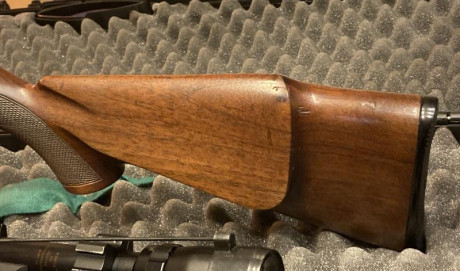 Carabina cerrojo SAKO P72 Finnscout
Calibre 22lr. Guiada en E.
Cañón cónico. Acción Heavy. Culata Montecarlo.
La 12