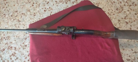 Hola a todos. Pongo en venta un magnífico rifle, marca Remington, modelo 742, en calibre 30.06, semi, 02