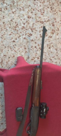 Hola a todos. Pongo en venta un magnífico rifle, marca Remington, modelo 742, en calibre 30.06, semi, 01