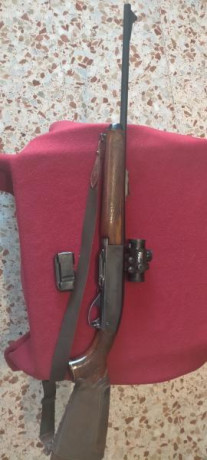 Hola a todos. Pongo en venta un magnífico rifle, marca Remington, modelo 742, en calibre 30.06, semi, 00