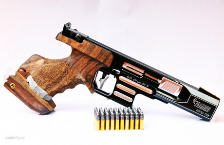 Se vende pistola pardini sp 22, mecanica, rapid fire.
Tiene cacha anatómica nill de talla L y cacha de 90
