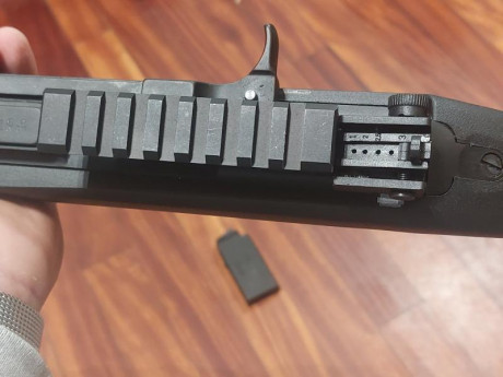 Chiappa M1 del 22lr comprada hace un mes por capricho en Arminse.  
He ido a tirar con ella 2 días contados 00