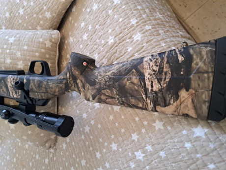 Winchester xpr 3006.Con monturas Warne Máxima de acero y visor Zeiss Daivari T 2,5-10x48...Prácticamente 01