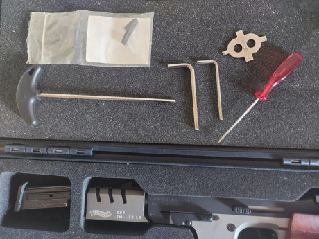 Se vende Walther GSP Expert 22 LR cacha talla M , el arma esta bien en todos sus aspectos  tanto de estética 31