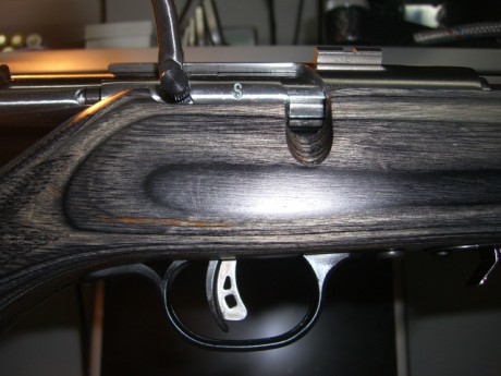hola a todos pues estoy pensando comprarme una carabina del 22 para tirar unos tiros en la galeria y he 91