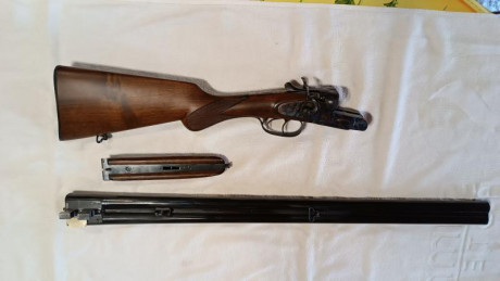 Hola buenos Días
Un amigo quiere vender una Escopeta pero no pertenece a este Foro, por lo que me ha encargado 12