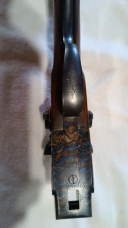 Hola buenos Días
Un amigo quiere vender una Escopeta pero no pertenece a este Foro, por lo que me ha encargado 20