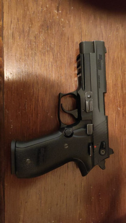 Se vende tanfoglio 9 mm y sig"mosquito" 22 lr. Precio tanfoglio 650, precio sig 150. Interesados 01