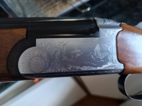 Vendo escopetas de calibre 12

Una Benelli urbino superpuesta en perfecto estado 200€

Una sarrasqueta 10