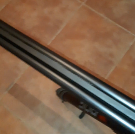 Buenas tardes 
Cambio escopeta de marca AYA maderas bonitas ajustada 
Cambio por rifle 01