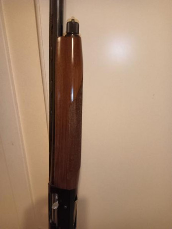 Vendo Benelli centro crío,cañón de 66cm.con 5 chokes.
Está en muy buen estado.650e se encuentra en Bilbao. 00