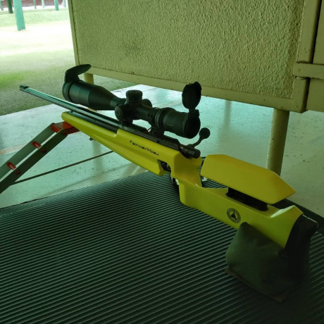 Vendo  carabina Feinwerkbau 2600  (calibre 22lr) con  maleta rígida  y  bípode .

Tiene roces en la pintura 00