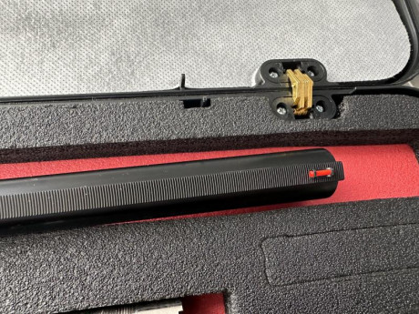 Buenas a todos, abro este post por si algún compañer@ tiene alguna escopeta semiautomática de la marca 31