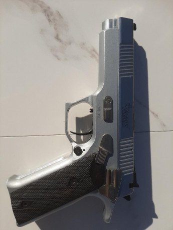 Vendo Pardini GT 9, 5 Chrome. Una autentica maquina de hacer dieces con todas las regulaciones habidas 11